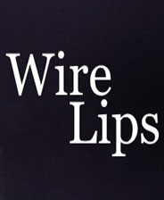 WireLips终极版免安装DLC学习版非steam离线网盘解压即玩PC下载电